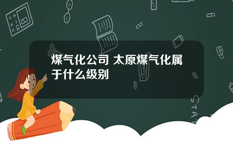 煤气化公司 太原煤气化属于什么级别